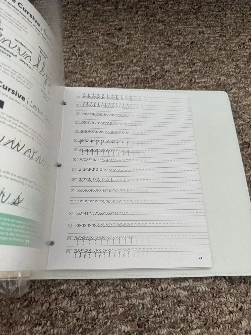 Closeheart Penmanship Binder Notebook in Cream with Melissa Esplin Inserts